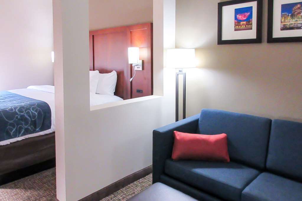 Comfort Suites Greensboro-High Point 部屋 写真