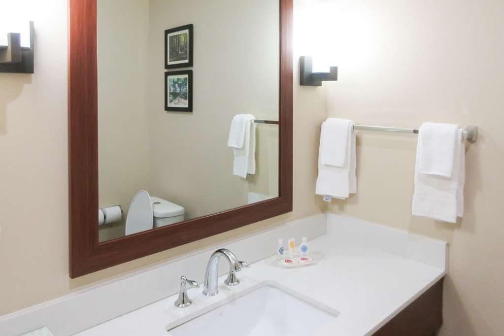 Comfort Suites Greensboro-High Point 部屋 写真